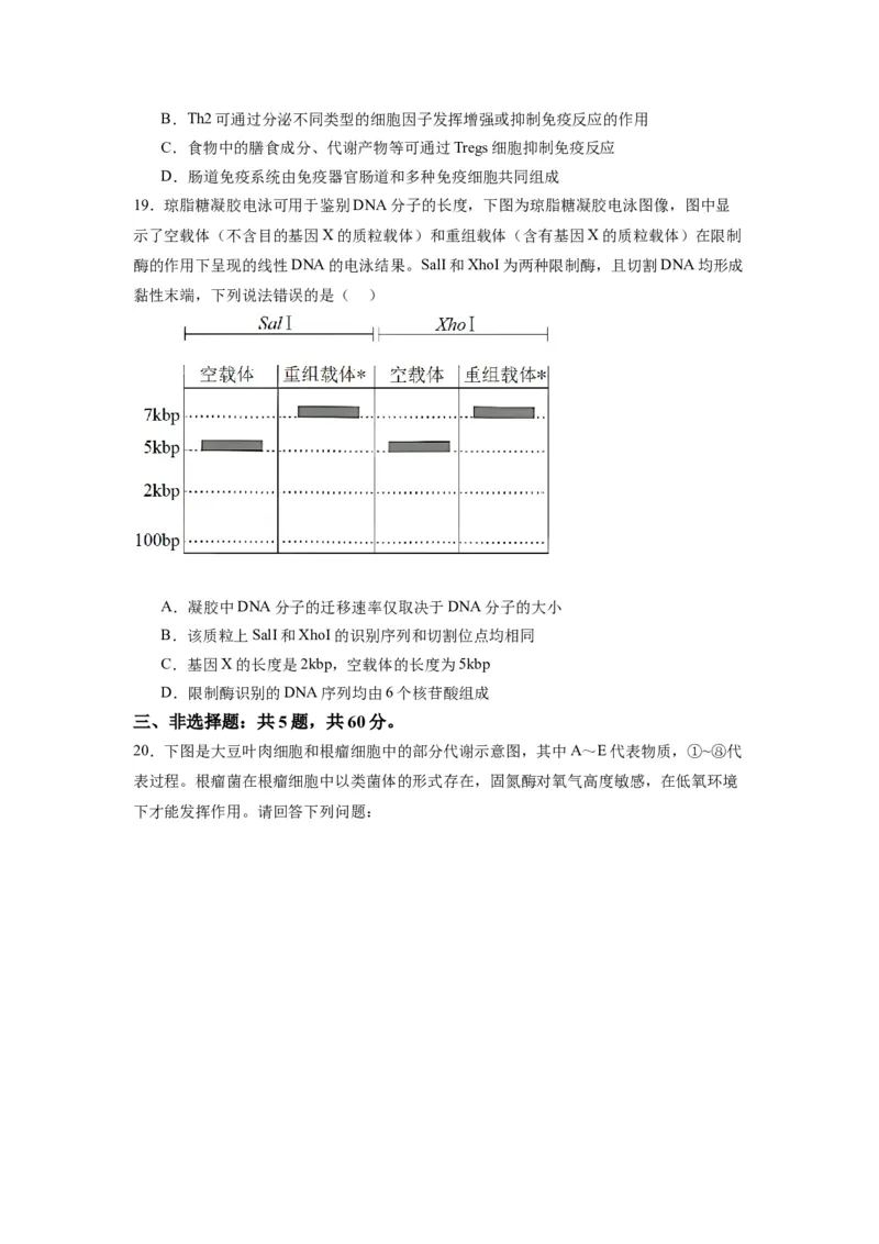 黄金卷05（考试版）-赢在高考&middot;黄金8卷备战2024年高考生物模拟卷（江苏专用）_2024年新高考资料_4.2024高考模拟预测试卷
