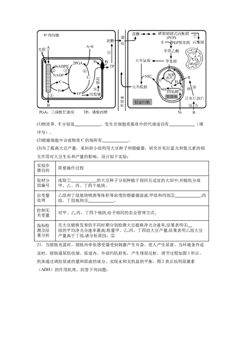 黄金卷05（考试版）-赢在高考&middot;黄金8卷备战2024年高考生物模拟卷（江苏专用）_2024年新高考资料_4.2024高考模拟预测试卷