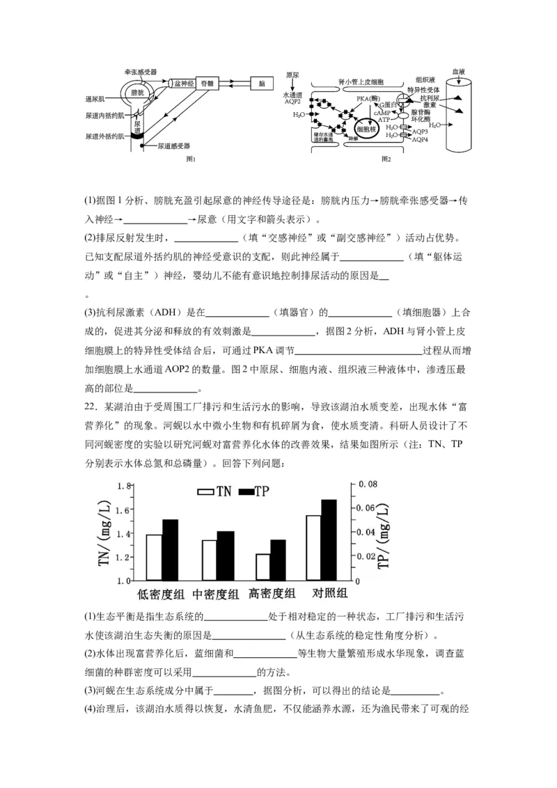 黄金卷05（考试版）-赢在高考&middot;黄金8卷备战2024年高考生物模拟卷（江苏专用）_2024年新高考资料_4.2024高考模拟预测试卷