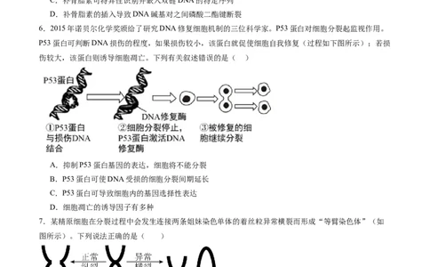 黄金卷04（考试版）-赢在高考&middot;黄金8卷备战2024年高考生物模拟卷（天津专用）_2024年新高考资料_4.2024高考模拟预测试卷