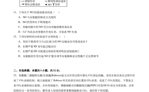 黄金卷04（考试版）-赢在高考&middot;黄金8卷备战2024年高考生物模拟卷（天津专用）_2024年新高考资料_4.2024高考模拟预测试卷