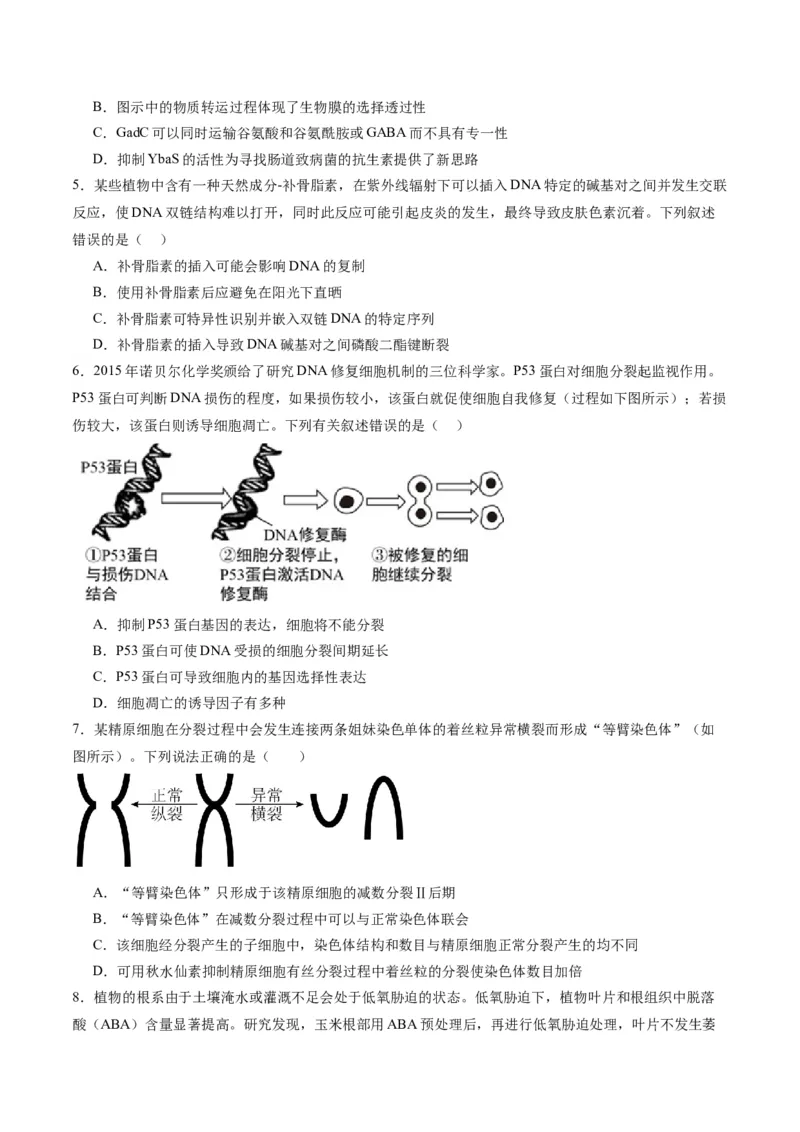 黄金卷04（考试版）-赢在高考&middot;黄金8卷备战2024年高考生物模拟卷（天津专用）_2024年新高考资料_4.2024高考模拟预测试卷