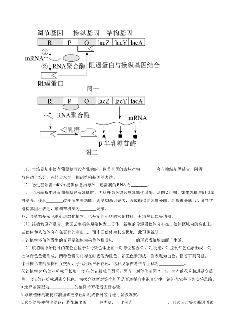 黄金卷04（考试版）-赢在高考&middot;黄金8卷备战2024年高考生物模拟卷（天津专用）_2024年新高考资料_4.2024高考模拟预测试卷