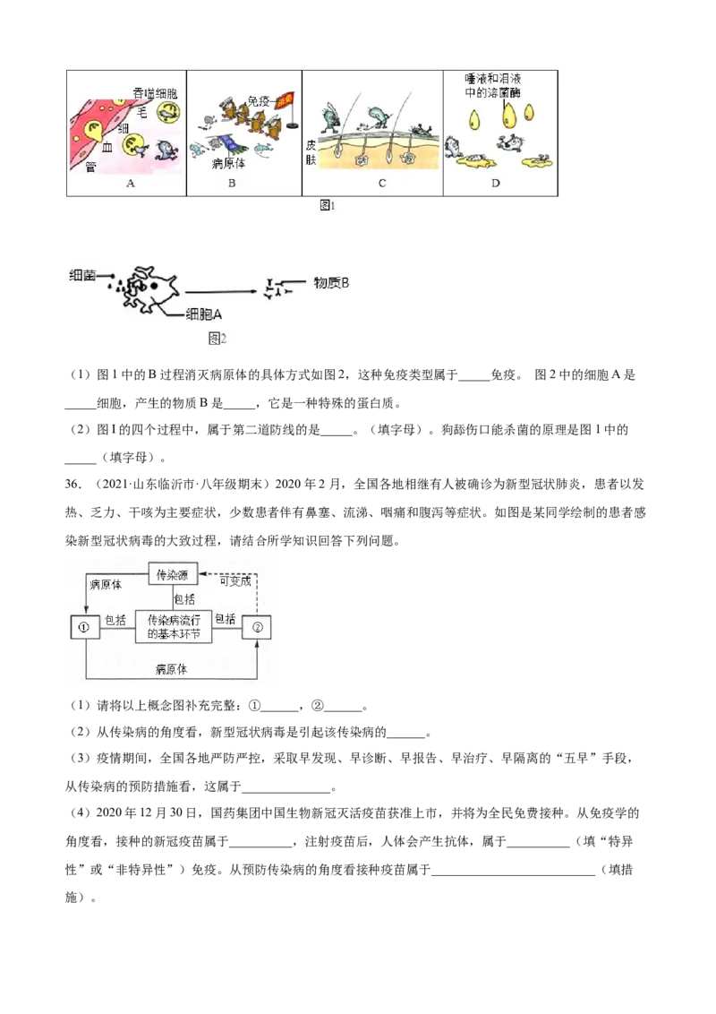 04传染病和免疫B卷（原卷版）_初中全科电子版试卷练习试题_生物_生物8下练习_人教生物8年级下单元试卷38份_第3套八年级生物下册单元试卷（人教版）06份
