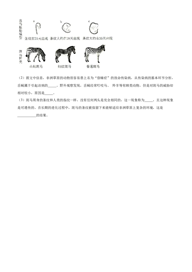 04传染病和免疫B卷（原卷版）_初中全科电子版试卷练习试题_生物_生物8下练习_人教生物8年级下单元试卷38份_第3套八年级生物下册单元试卷（人教版）06份