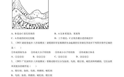 03生命起源和生物进化A卷（原卷版）_初中全科电子版试卷练习试题_生物_生物8下练习_人教生物8年级下单元试卷38份_第3套八年级生物下册单元试卷（人教版）06份