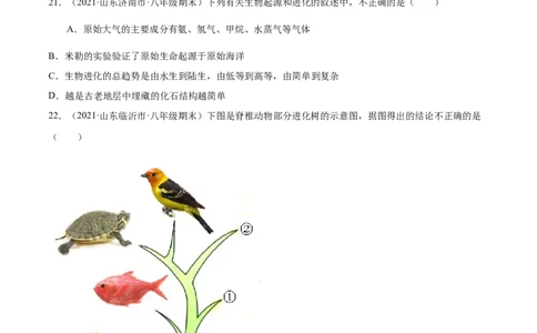 03生命起源和生物进化A卷（原卷版）_初中全科电子版试卷练习试题_生物_生物8下练习_人教生物8年级下单元试卷38份_第3套八年级生物下册单元试卷（人教版）06份