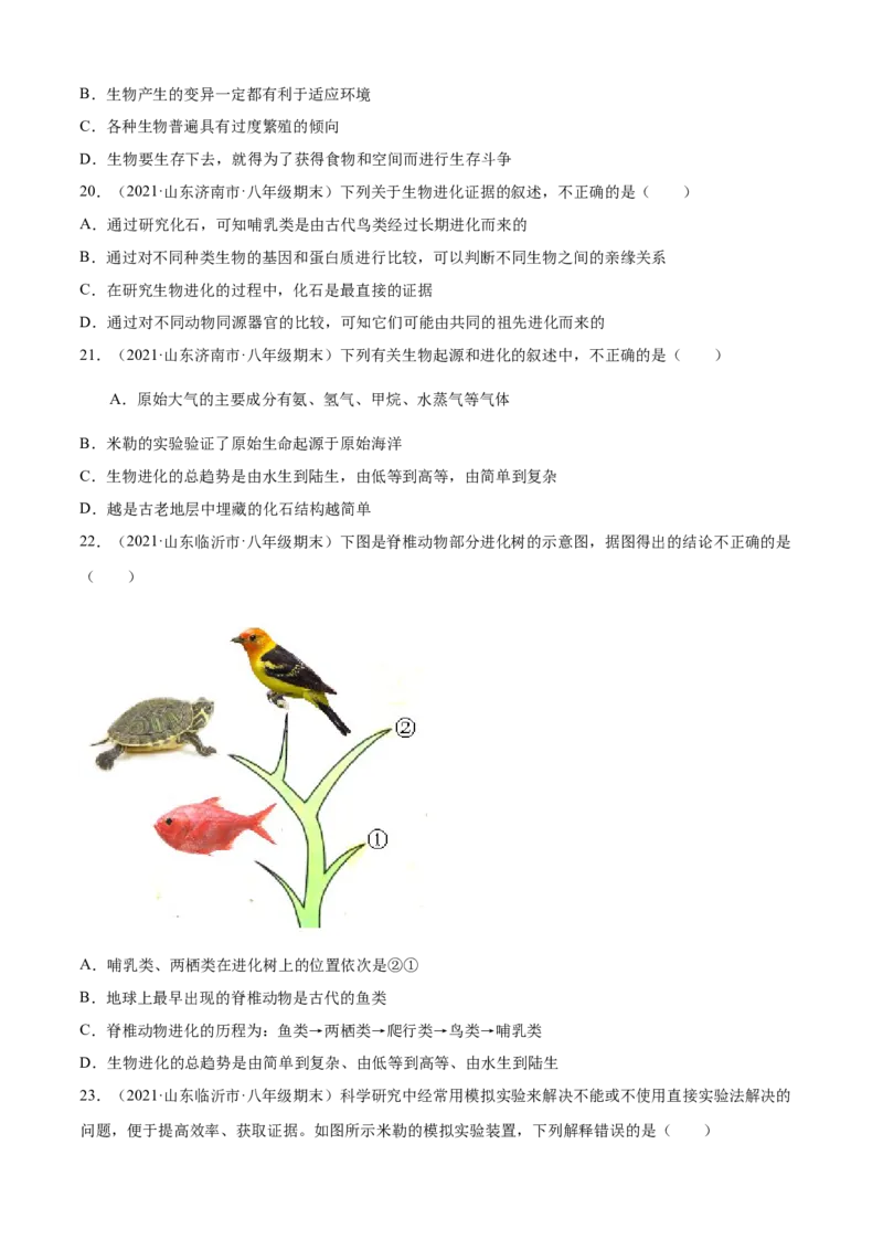 03生命起源和生物进化A卷（原卷版）_初中全科电子版试卷练习试题_生物_生物8下练习_人教生物8年级下单元试卷38份_第3套八年级生物下册单元试卷（人教版）06份