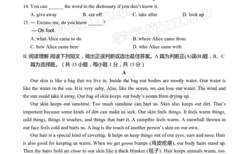 2017山东青岛英语试卷+答案(word整理版)_山东历年中考真题_山东省历年中考真题2013~2024_初中英语历年真题（2013-2024）