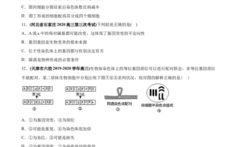 专题11变异、育种与进化-2020年高考真题和模拟题生物分项汇编（学生版）_新高考复习资料_2022年新高考复习资料_2022年一轮复习最新版_1.2022年高考生物一轮复习全国通用版