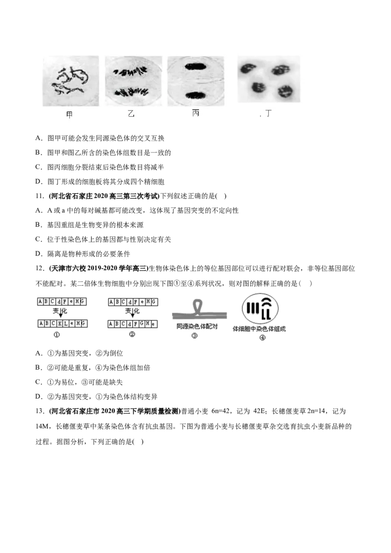 专题11变异、育种与进化-2020年高考真题和模拟题生物分项汇编（学生版）_新高考复习资料_2022年新高考复习资料_2022年一轮复习最新版_1.2022年高考生物一轮复习全国通用版
