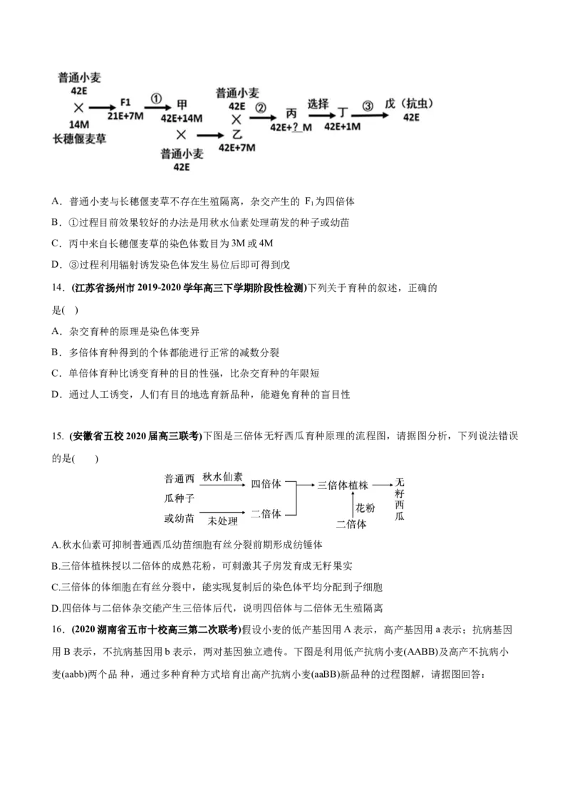 专题11变异、育种与进化-2020年高考真题和模拟题生物分项汇编（学生版）_新高考复习资料_2022年新高考复习资料_2022年一轮复习最新版_1.2022年高考生物一轮复习全国通用版