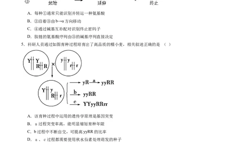 黄金卷03（考试版）-赢在高考&middot;黄金8卷备战2024年高考生物模拟卷（辽宁专用）_2024年新高考资料_4.2024高考模拟预测试卷