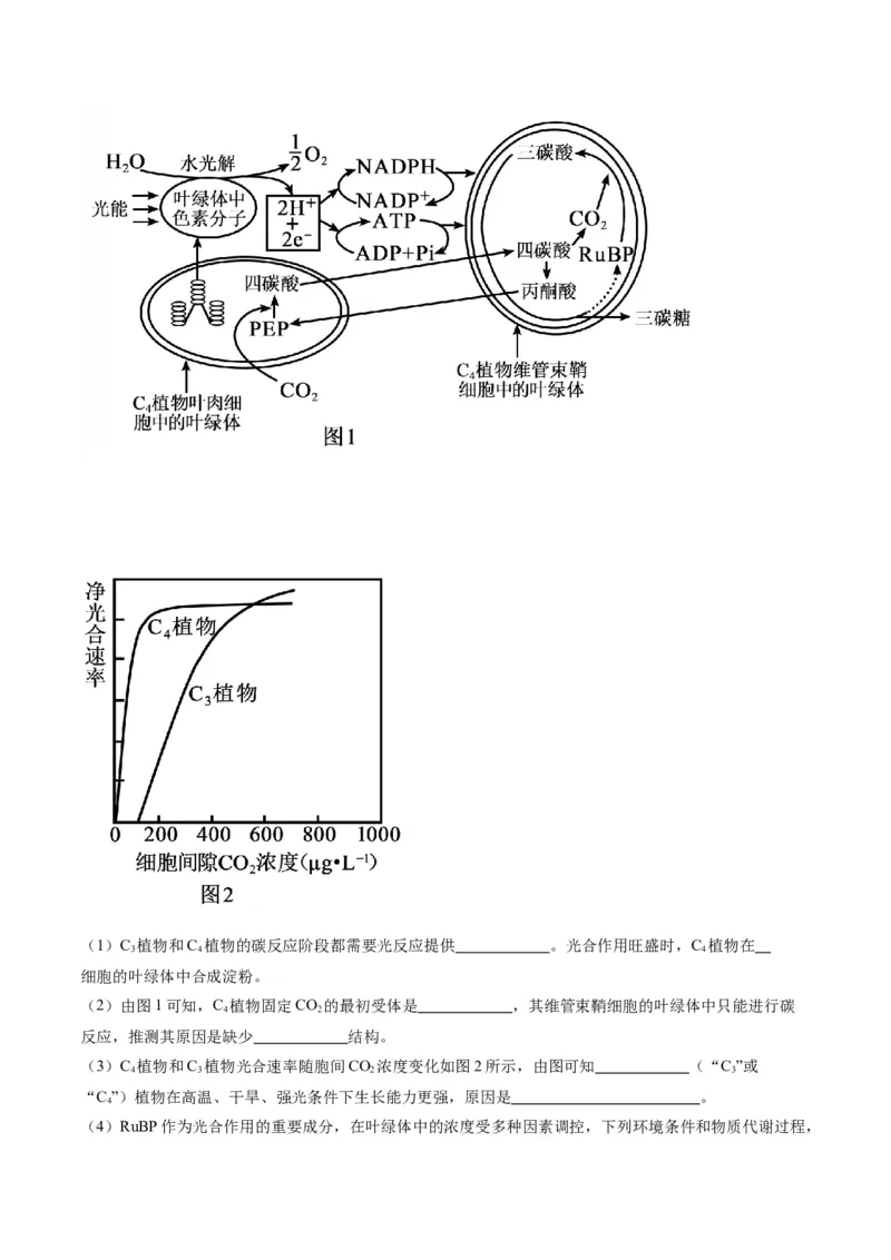 黄金卷03（考试版）-赢在高考&middot;黄金8卷备战2024年高考生物模拟卷（辽宁专用）_2024年新高考资料_4.2024高考模拟预测试卷