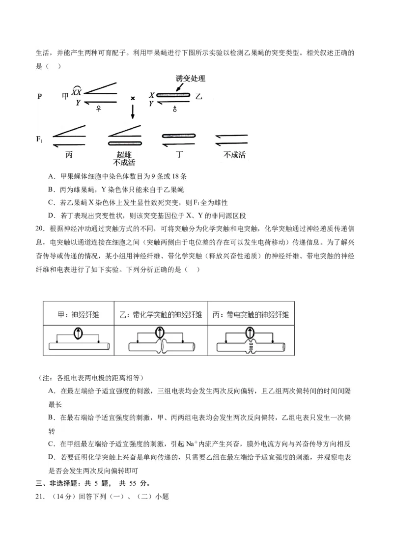 黄金卷03（考试版）-赢在高考&middot;黄金8卷备战2024年高考生物模拟卷（辽宁专用）_2024年新高考资料_4.2024高考模拟预测试卷