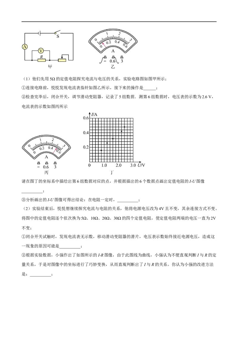 专题10电（磁）学实验（原卷版）_8、物理总复习_8.中考物理总复习_2023年中考复习资料_二轮复习_备战2023年中考物理二轮四大模块针对集训（全国通用）_模块四电学
