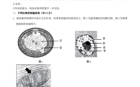 黄金卷07（解析版）-赢在高考&middot;黄金8卷备战2024年高考生物模拟卷（上海专用）_2024年新高考资料_4.2024高考模拟预测试卷