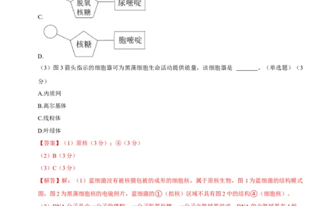 黄金卷07（解析版）-赢在高考&middot;黄金8卷备战2024年高考生物模拟卷（上海专用）_2024年新高考资料_4.2024高考模拟预测试卷