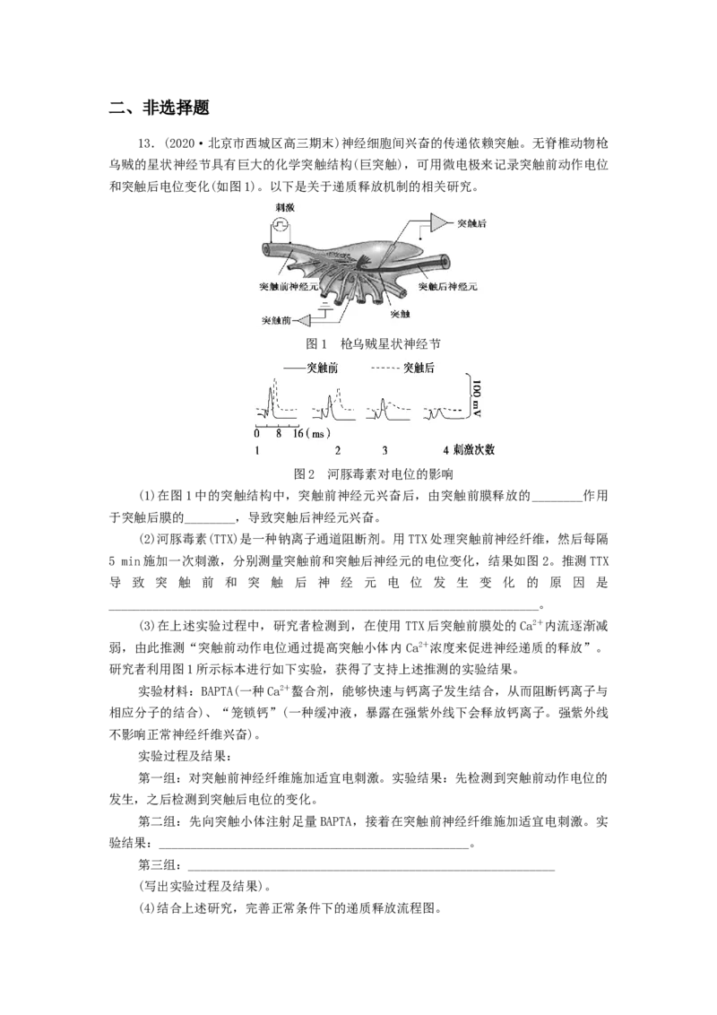 专题08生命活动的调节机制-备战2021年高考生物核心考点透析（解析版）_新高考复习资料_2021年新高考资料_备战2021年高考生物核心考点透析
