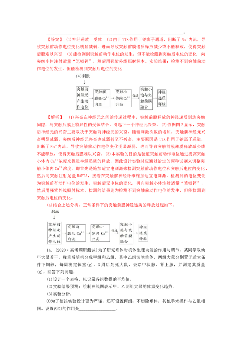 专题08生命活动的调节机制-备战2021年高考生物核心考点透析（解析版）_新高考复习资料_2021年新高考资料_备战2021年高考生物核心考点透析