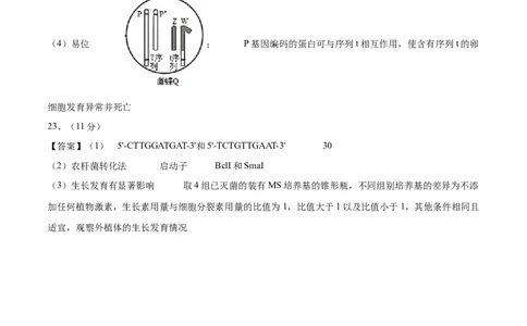 黄金卷05（参考答案）-赢在高考&middot;黄金8卷备战2024年高考生物模拟卷（河北专用）_2024年新高考资料_4.2024高考模拟预测试卷