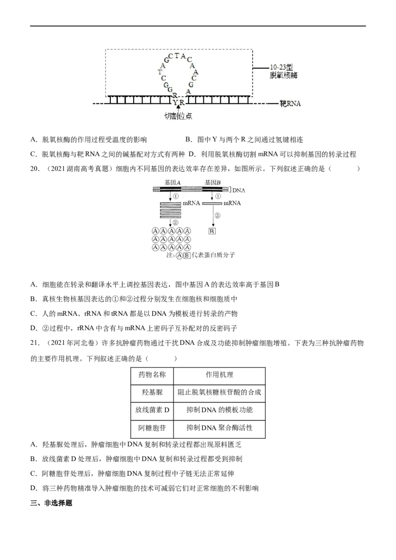 专题09遗传的分子基础（练）-2023年高考生物二轮复习讲练测（全国通用）（原卷版）_通用版（老高考）复习资料_2023年复习资料_二轮复习_2023年高考生物二轮复习讲练测（全国通用）