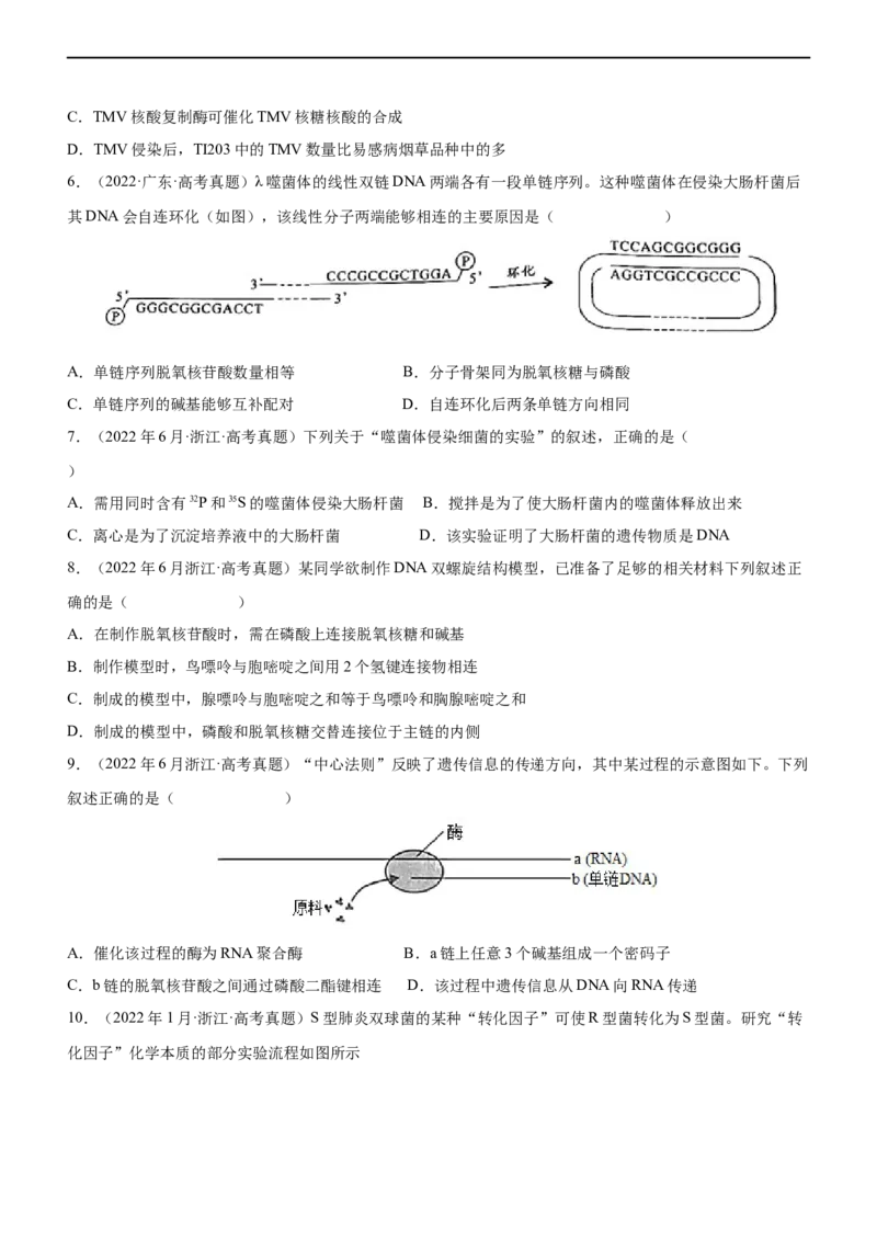 专题09遗传的分子基础（练）-2023年高考生物二轮复习讲练测（全国通用）（原卷版）_通用版（老高考）复习资料_2023年复习资料_二轮复习_2023年高考生物二轮复习讲练测（全国通用）