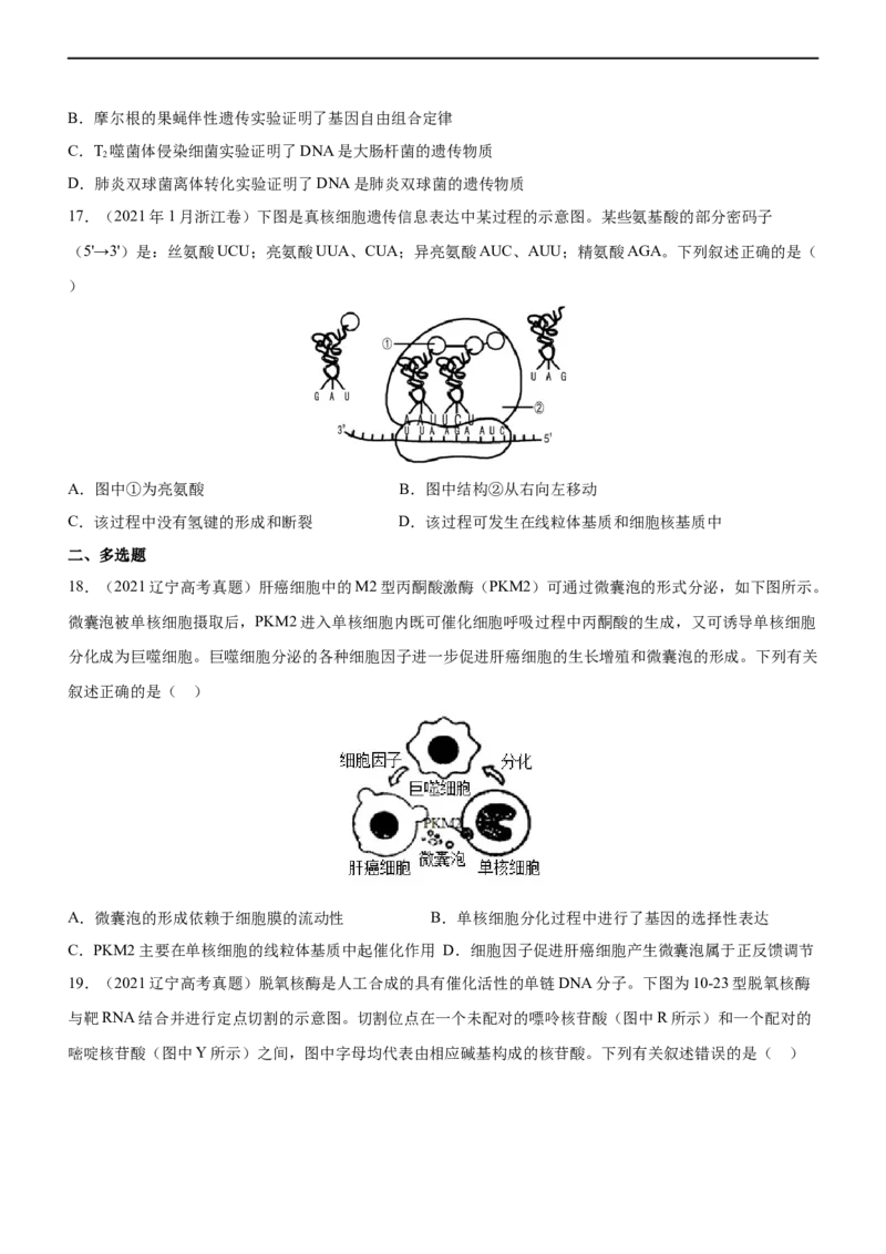 专题09遗传的分子基础（练）-2023年高考生物二轮复习讲练测（全国通用）（原卷版）_通用版（老高考）复习资料_2023年复习资料_二轮复习_2023年高考生物二轮复习讲练测（全国通用）