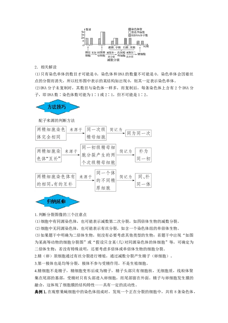 专题12减数分裂和受精作用（串讲）（原卷版）_新高考复习资料_2024年新高考复习资料_一轮复习资料_完备战2024年高考生物一轮复习串讲精练（新高考专用）_串讲