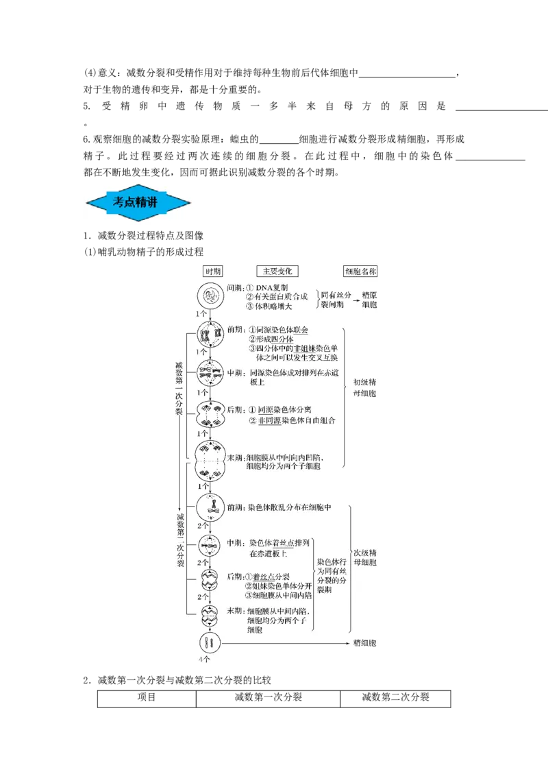 专题12减数分裂和受精作用（串讲）（原卷版）_新高考复习资料_2024年新高考复习资料_一轮复习资料_完备战2024年高考生物一轮复习串讲精练（新高考专用）_串讲