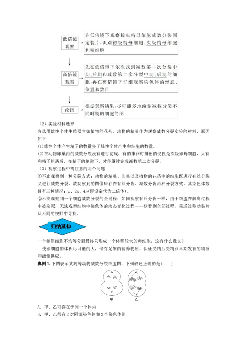 专题12减数分裂和受精作用（串讲）（原卷版）_新高考复习资料_2024年新高考复习资料_一轮复习资料_完备战2024年高考生物一轮复习串讲精练（新高考专用）_串讲
