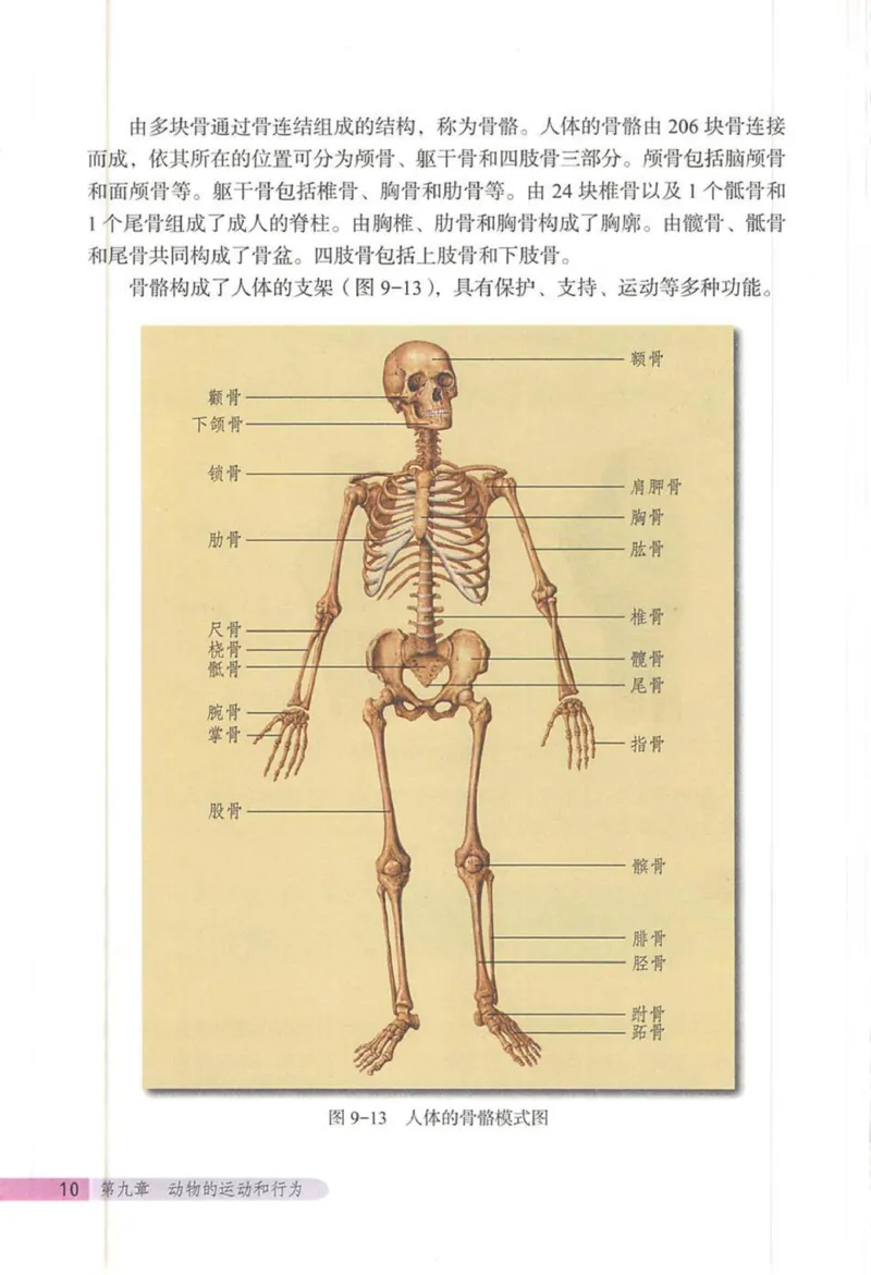 北京版八年级生物上册_初中电子课本_9.生物_北京版