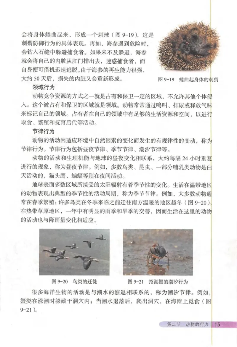 北京版八年级生物上册_初中电子课本_9.生物_北京版