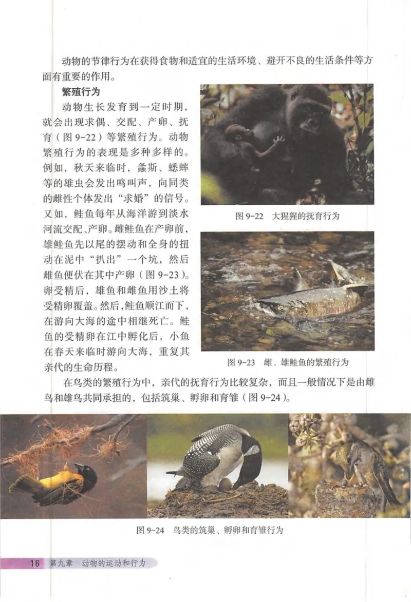 北京版八年级生物上册_初中电子课本_9.生物_北京版