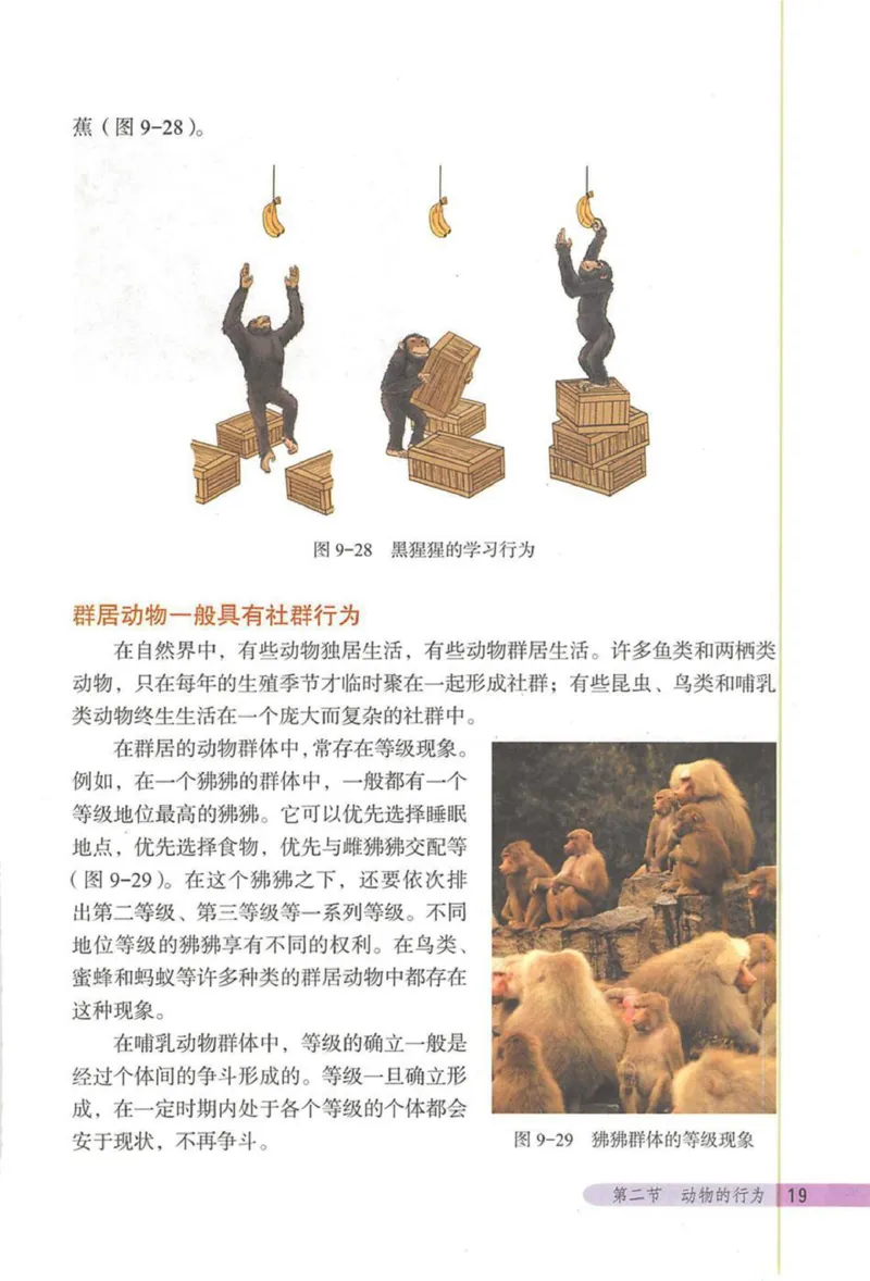 北京版八年级生物上册_初中电子课本_9.生物_北京版