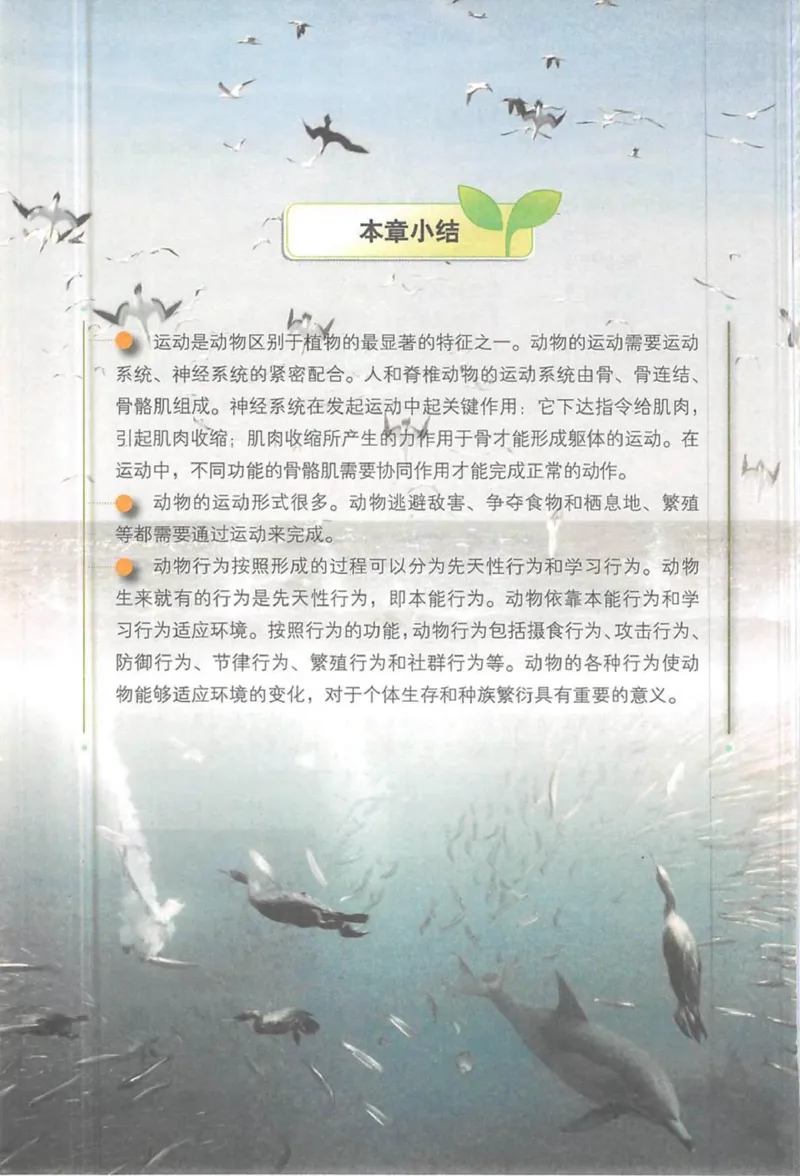 北京版八年级生物上册_初中电子课本_9.生物_北京版