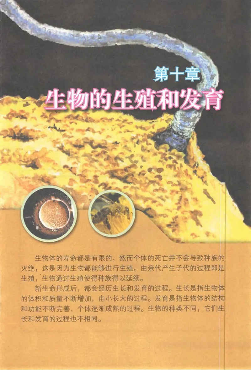 北京版八年级生物上册_初中电子课本_9.生物_北京版