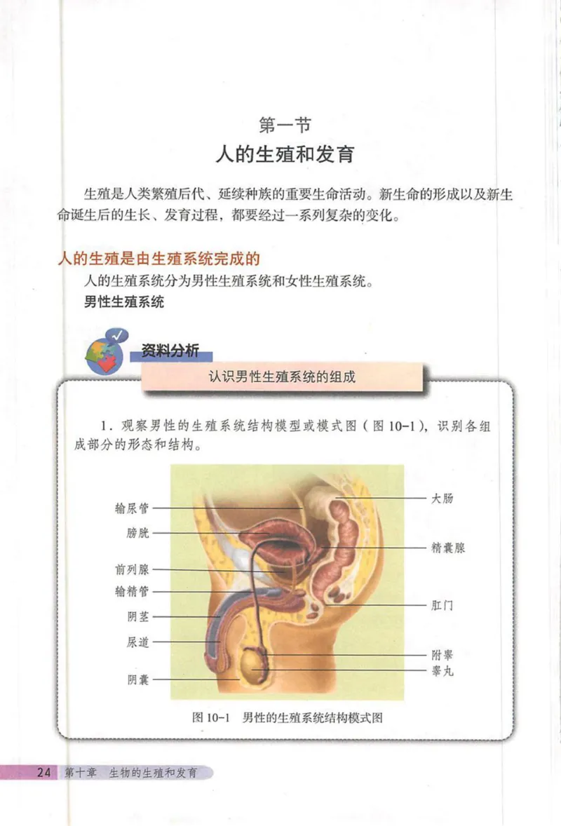 北京版八年级生物上册_初中电子课本_9.生物_北京版