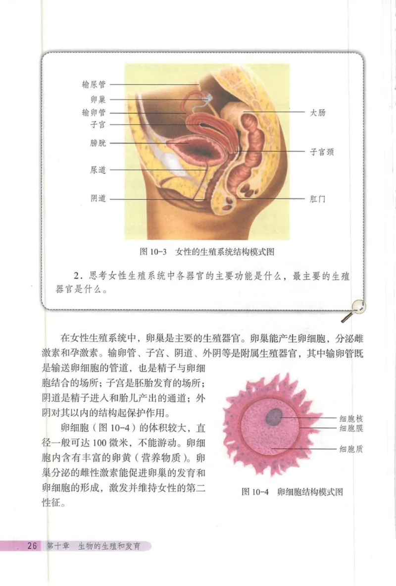北京版八年级生物上册_初中电子课本_9.生物_北京版