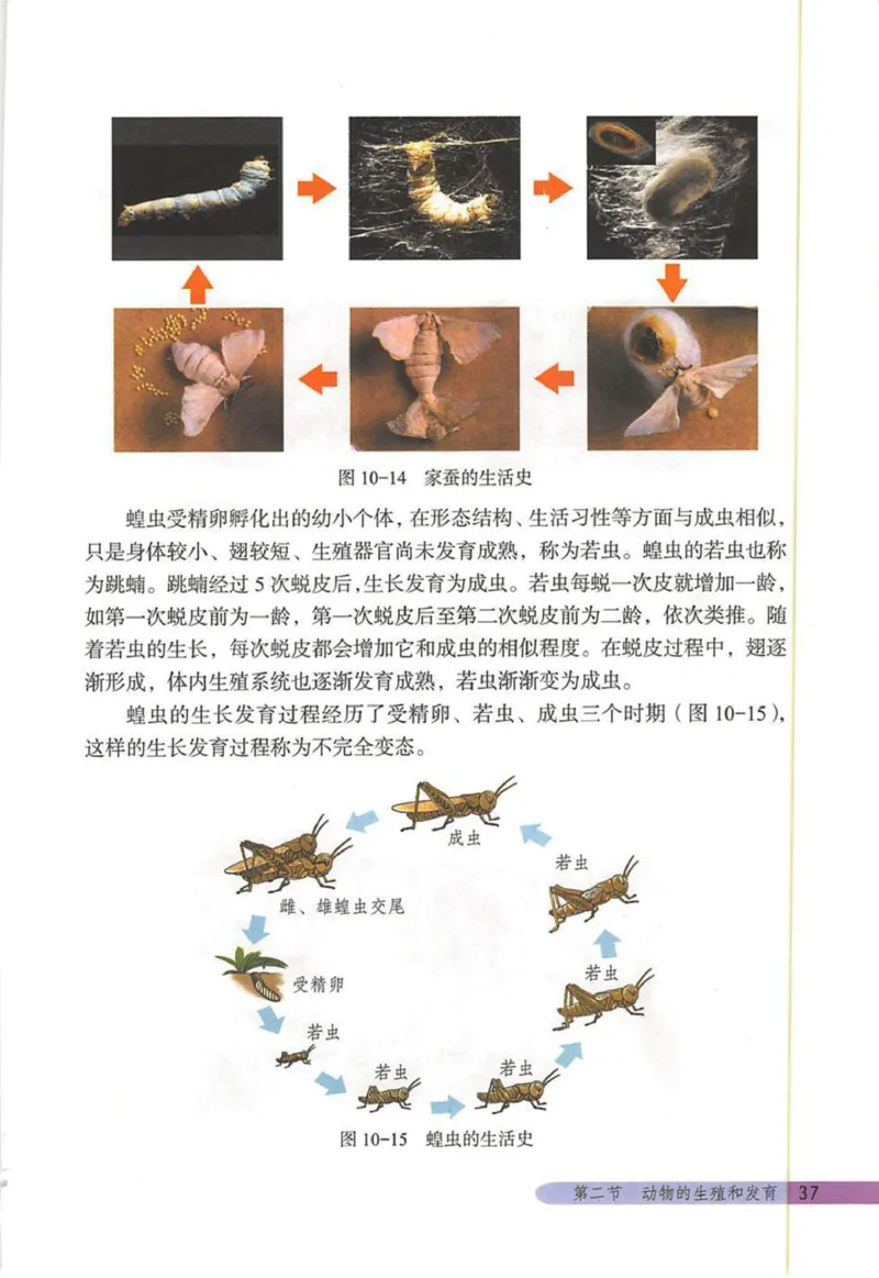 北京版八年级生物上册_初中电子课本_9.生物_北京版
