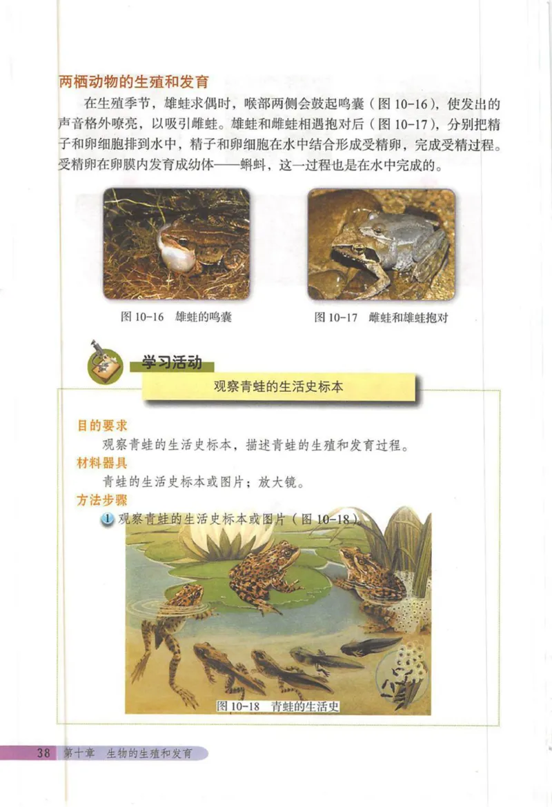 北京版八年级生物上册_初中电子课本_9.生物_北京版