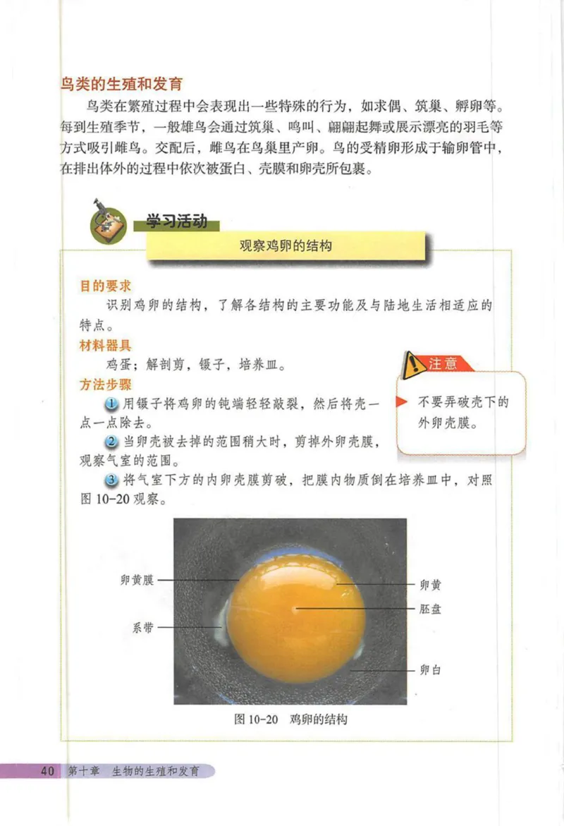 北京版八年级生物上册_初中电子课本_9.生物_北京版