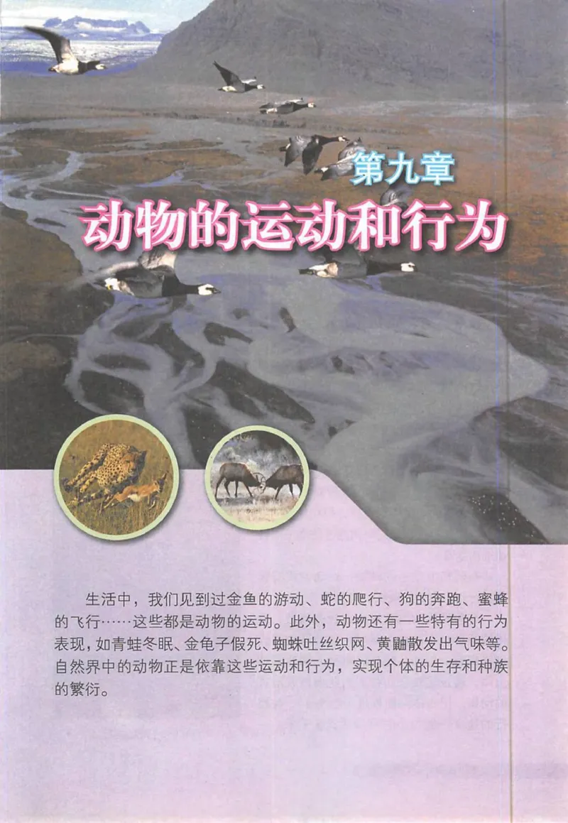 北京版八年级生物上册_初中电子课本_9.生物_北京版