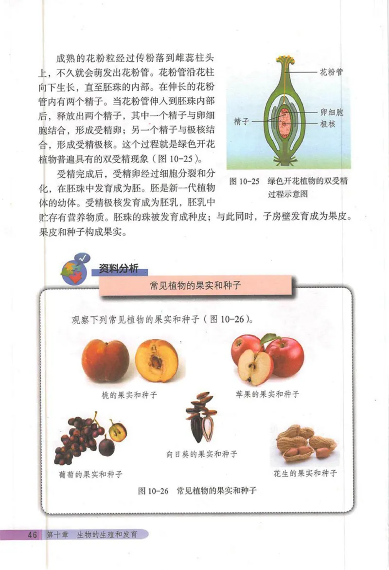 北京版八年级生物上册_初中电子课本_9.生物_北京版