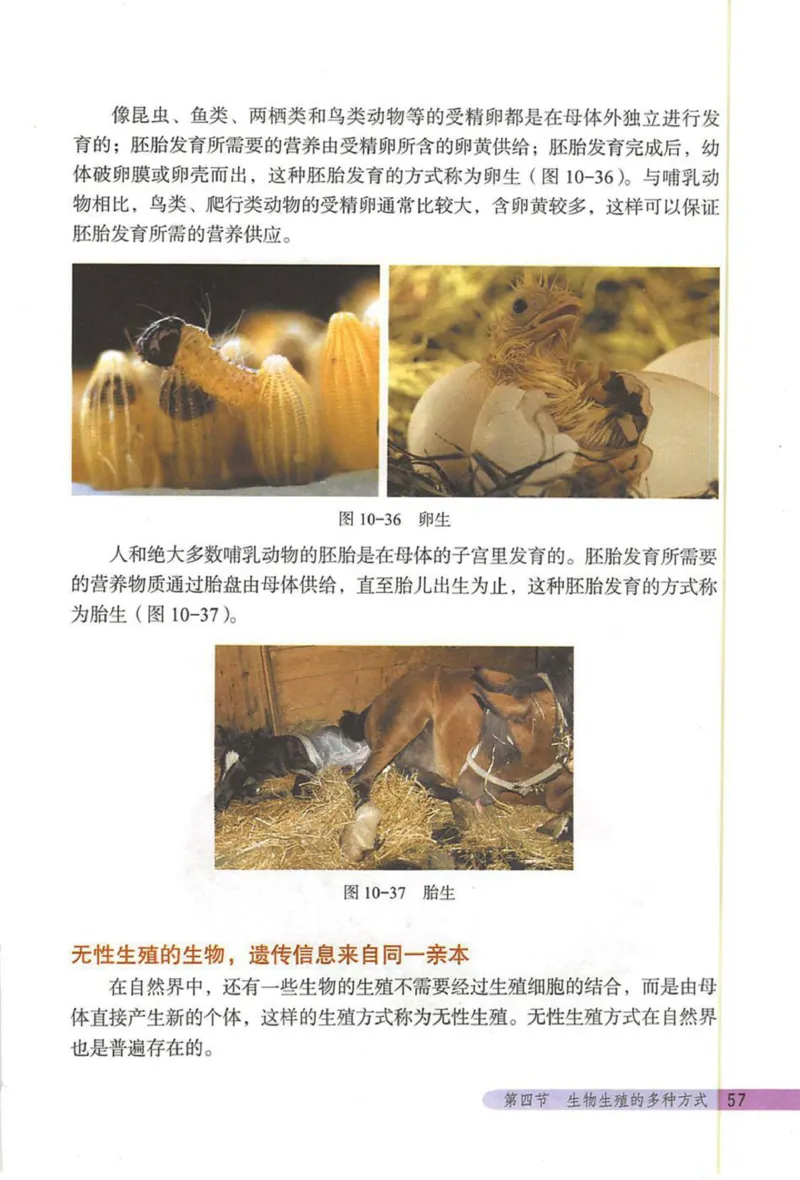 北京版八年级生物上册_初中电子课本_9.生物_北京版