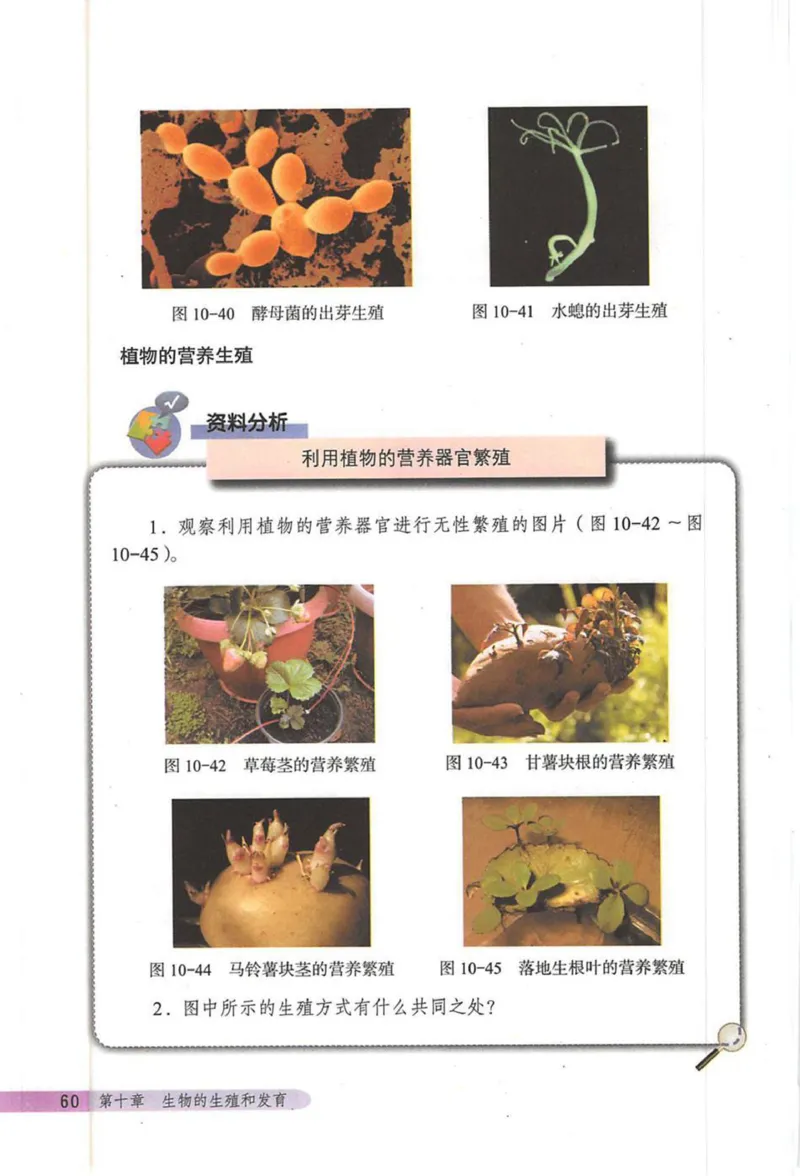 北京版八年级生物上册_初中电子课本_9.生物_北京版