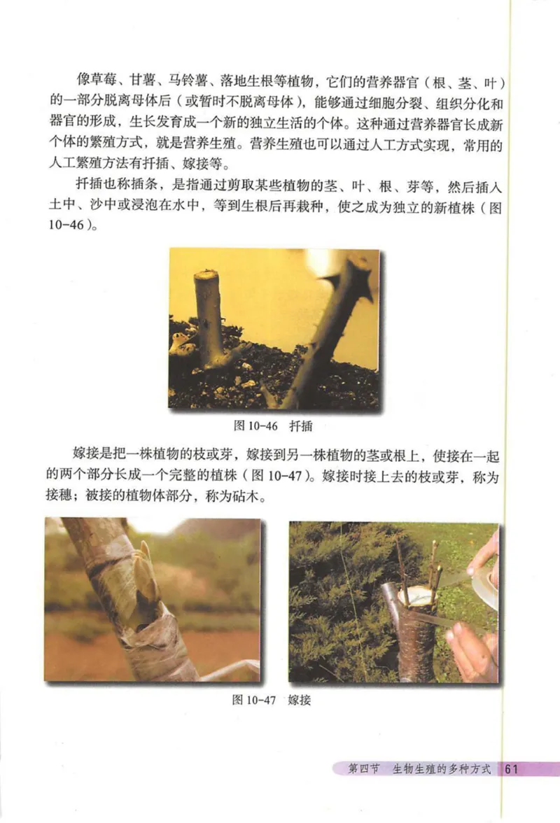 北京版八年级生物上册_初中电子课本_9.生物_北京版