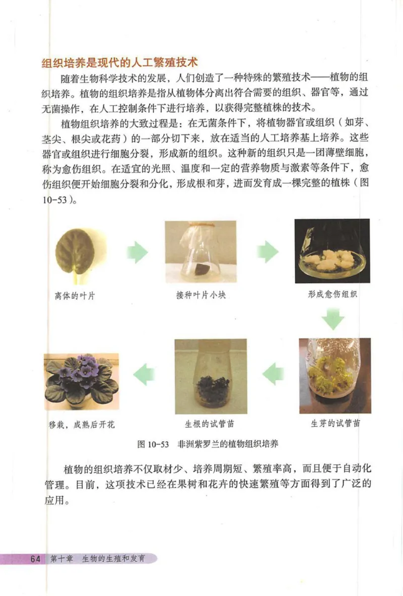 北京版八年级生物上册_初中电子课本_9.生物_北京版