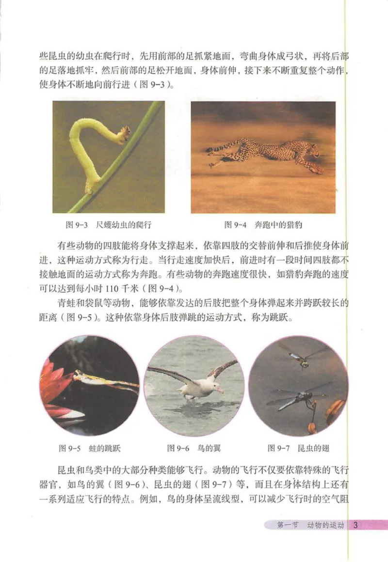 北京版八年级生物上册_初中电子课本_9.生物_北京版
