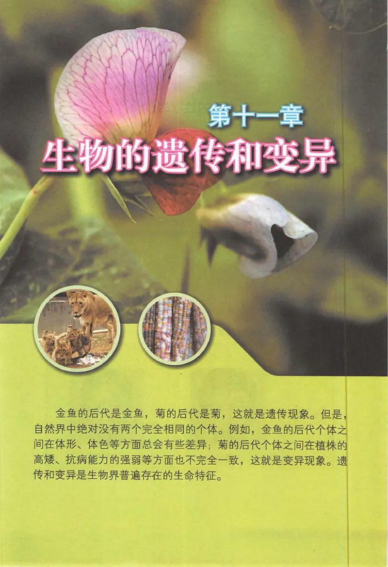 北京版八年级生物上册_初中电子课本_9.生物_北京版